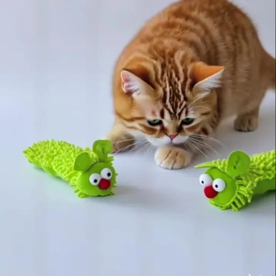 Interactive Cat Toy