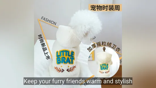 Cute Cat Sweater: Cozy Teddy Outfit for Autumn and Winter 