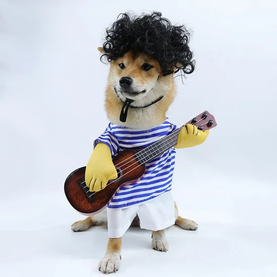 Ufbemo Manufacturer Wholesale Cute Dog Clothes Pet Halloween Costume 